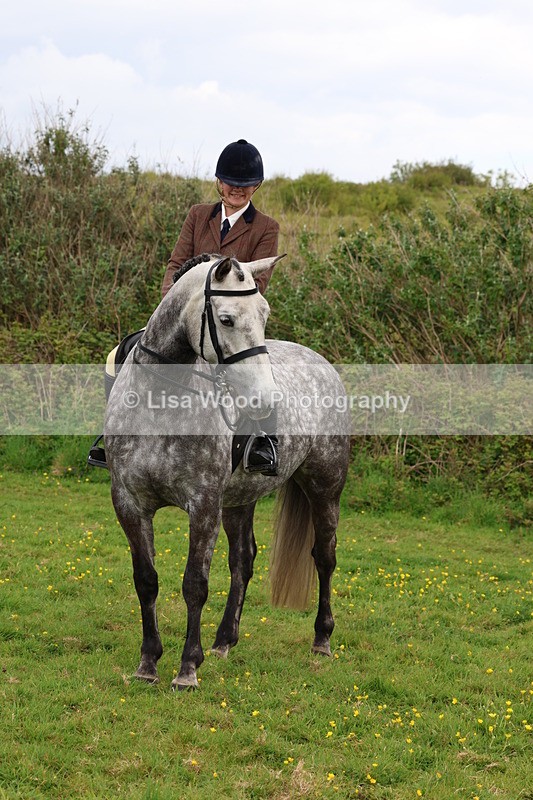 3E7A1905 - Class 9: Riding Club Horse/Pony