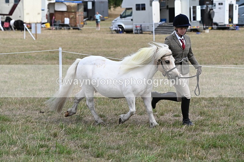 WJ6_5957 - Class 19 In-hand Veterans (Uploaded correct folder)