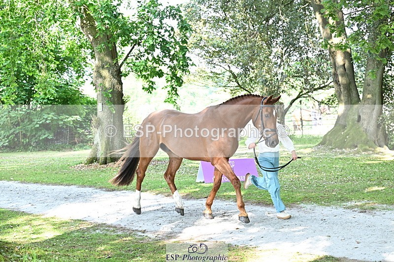 250521A-163332-01216 - C-231-Alannah.Dunstan-JUMPING.STAR.J.W.B