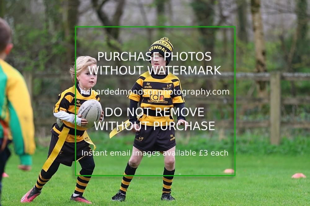 533A4895 - Kendal Rugby Under 7's (12/4/26)
