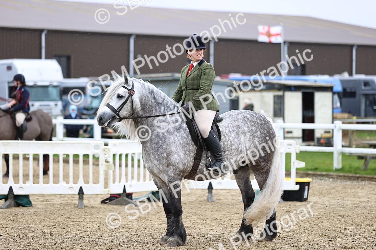 SBM_007547 - Class 31-32 - M&M Confined Novice Small-Large