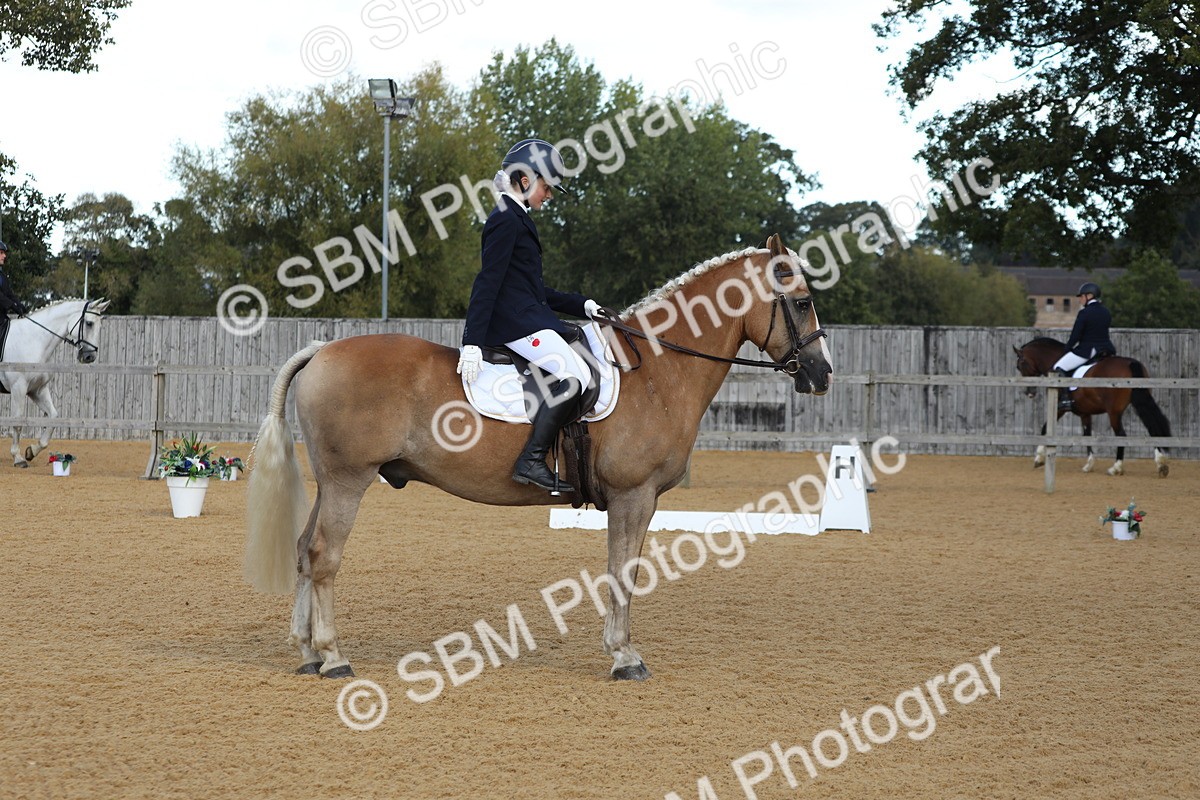 SBM_40568 - D21 - Junior Championship - Intro A