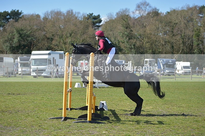 NGP_1480 - Time 11:37 to 12:31