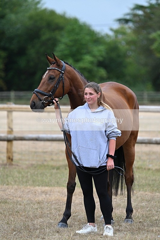 WJ7_9875 - Class 5a Most Handsome Gelding (above 14.2hh)