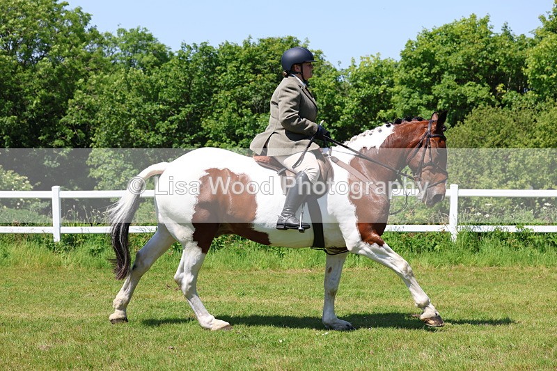 3E7A7198 - Class 30: Novice Working Hunter