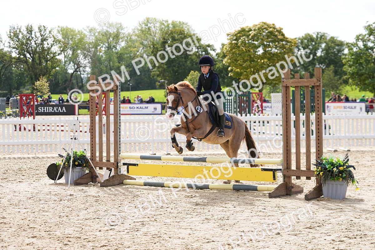 SBM_40750 - Supreme Championship Pony 50-55cm