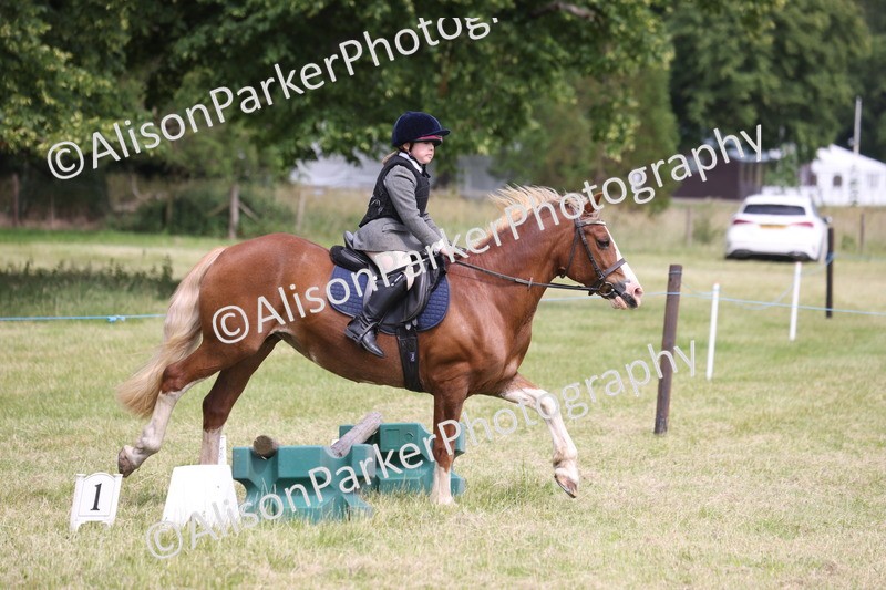 20260614-4065 - Class 24 - Mini and Major Pairs Jumping