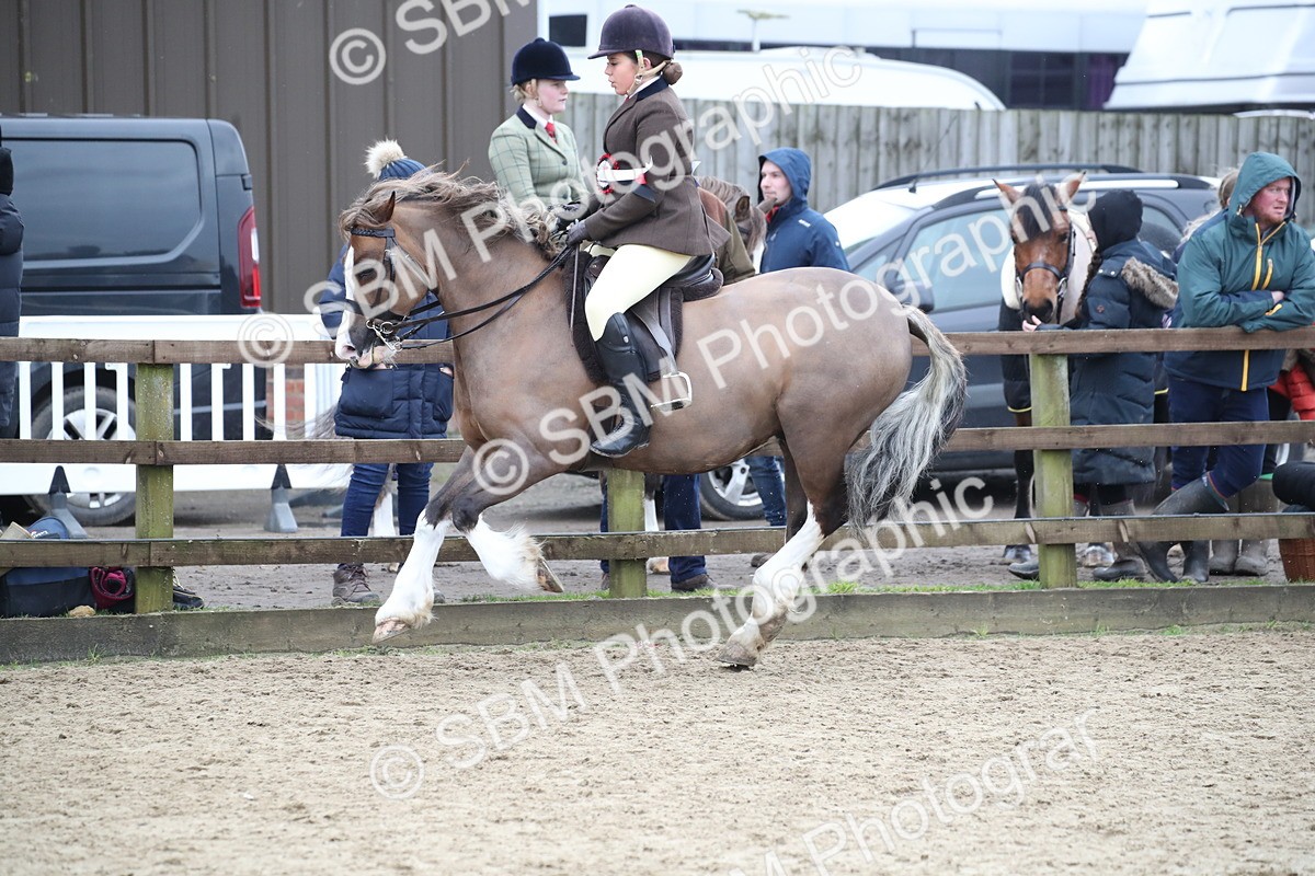SBM_007109 - Class 10-13 - RIHS Small Large Breeds