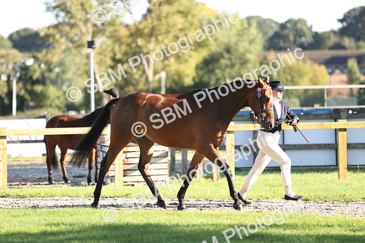SBM_15712 - S1 - TSR in Hand Horse & Pony Showing