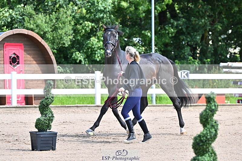 240718A-105237-00945 - Trot Up 11am to 12pm