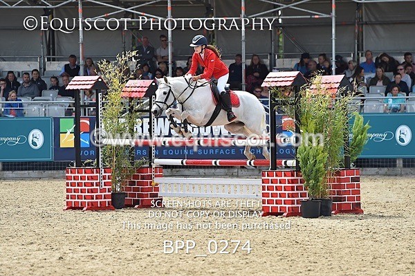 BPP_0274 - RHS 2019 Selection - *Just some random spectator shots so Lucky Dip if you are there!