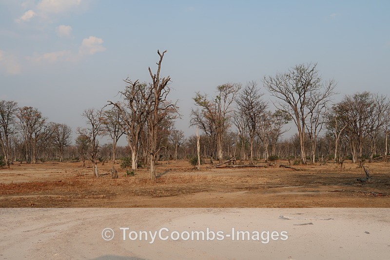 Mana Pools - Mana Pools ~ A Few Extra Bits