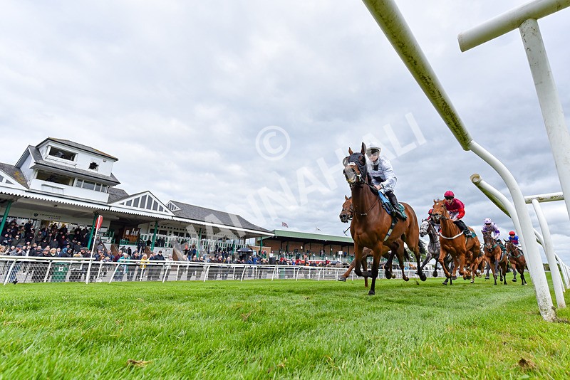 110526-Race 3-Laravie-7993 - Race 3 3.30pm Mick Rose Turns 70 Handicap