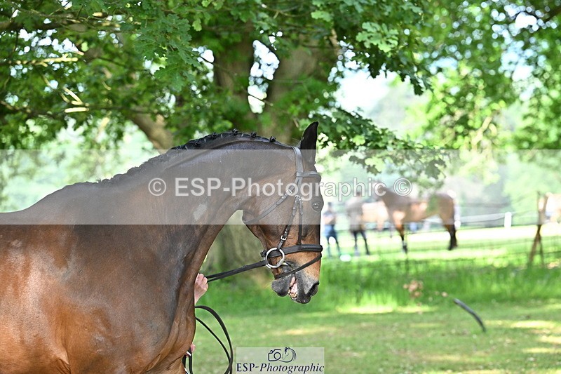 250521A-164100-01279 - C-252-Zoe.Boyles-SAM