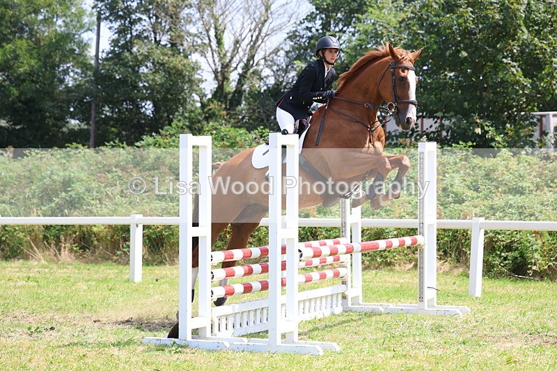 3E7A3003 - Class 7: Senior British Novice/90cm open