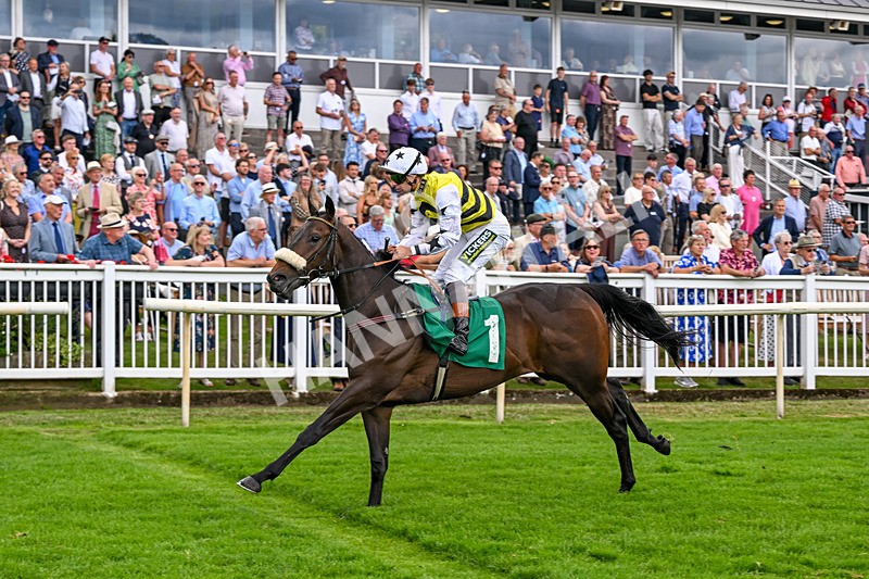 010726-Race 2-Arapaho Gold-7785 - Race 2 13.38pm British EBF Restricted Novice Stakes (Div II)