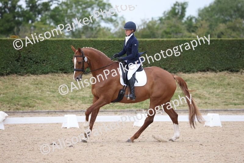 20250604-0605 - Class 3 - Novice 5