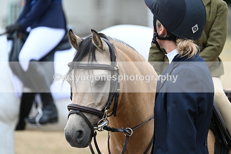 WJ7_7129 - Class 2 Best Rider