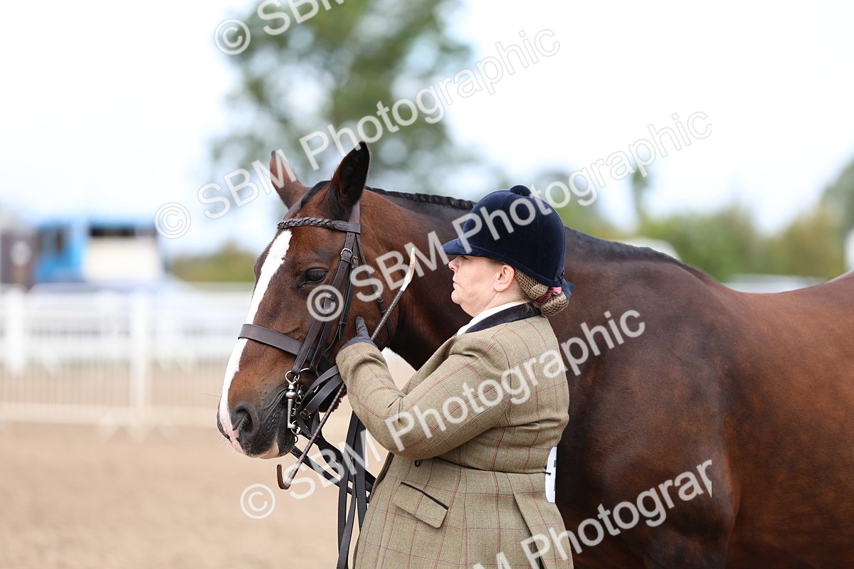 SBM_01498 - Class 17 - Prettiest Mare