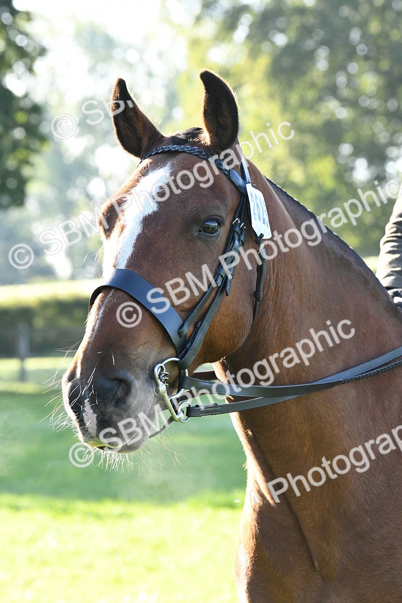 SBM_34044 - S16 - Condition & Turnout - Ridden