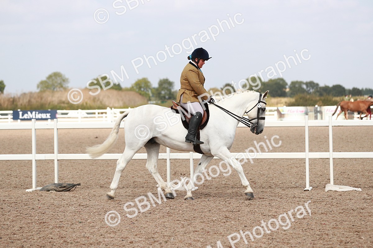 SBM_14801 - Class 212 Ridden Hunter - Small
