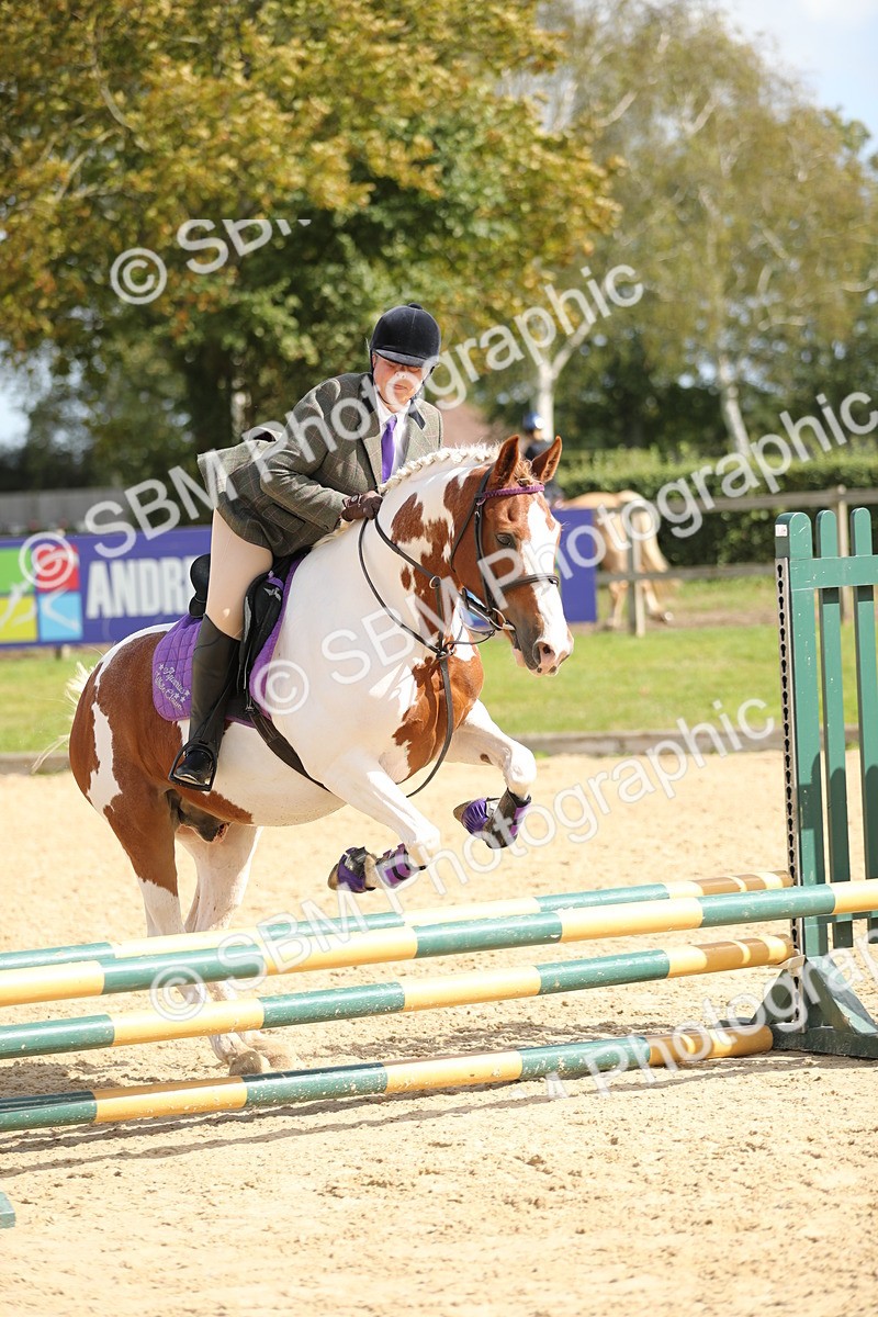 SBM_05755 - J35 - Veteran Rider 60cm