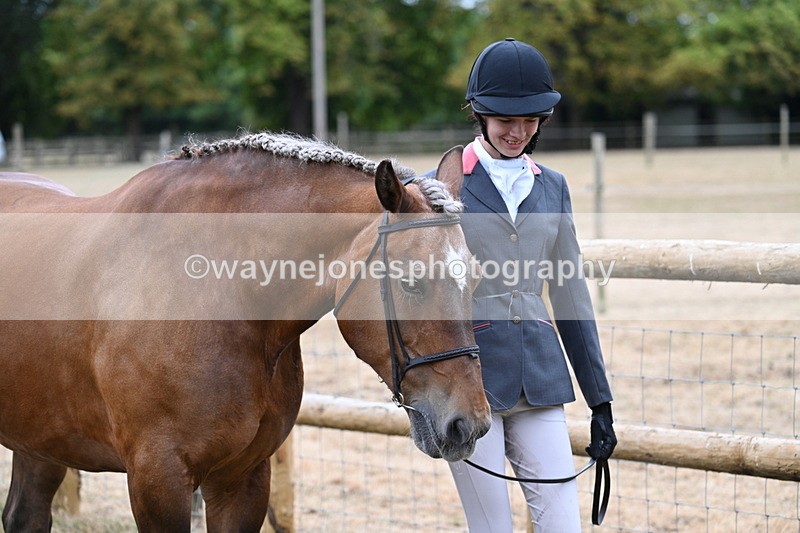 WJ7_9080 - Class 4a Prettiest Mare 14.2hh and over