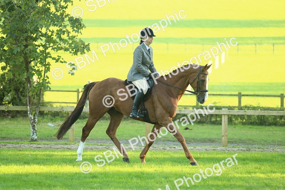 SBM_55652 - S14 - Riding Club Horse