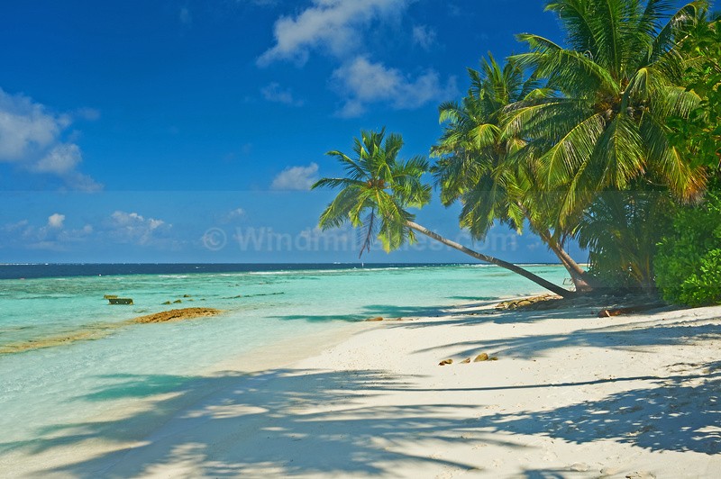  - Maldives