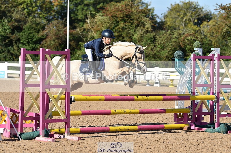 230903A-090802-03442 - Cls 17 Pony Intro 75cm