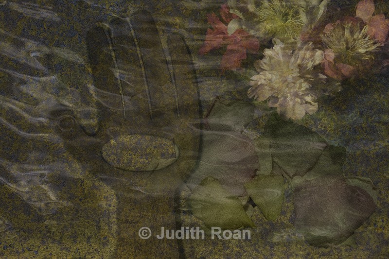 Rust Hand and Petals - Photo Montages