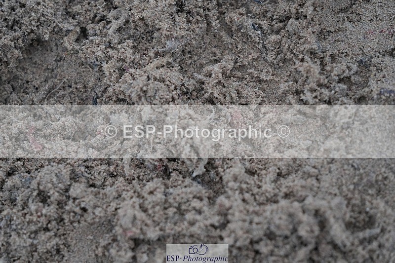 251116-095620-01457 - Cls 18 Clear Round 50cm
