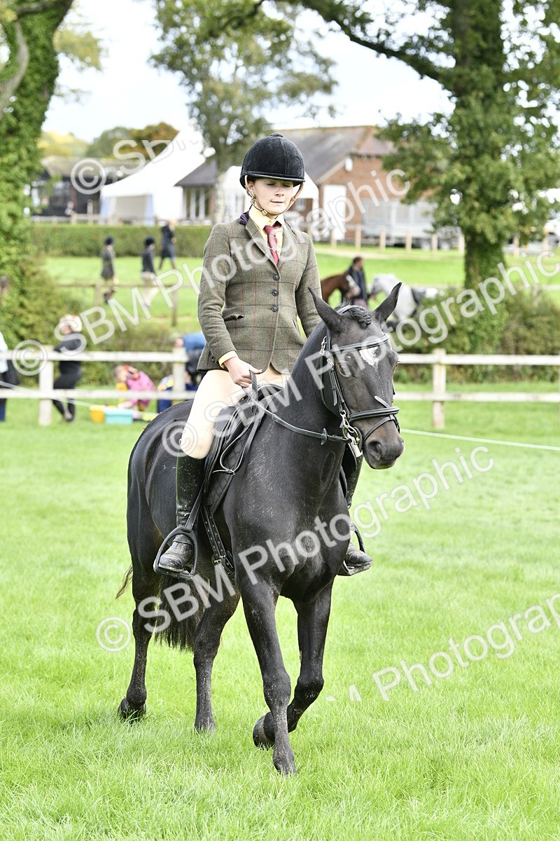SBM_41588 - S32 - Mountain & Moorland Working Hunter Pony