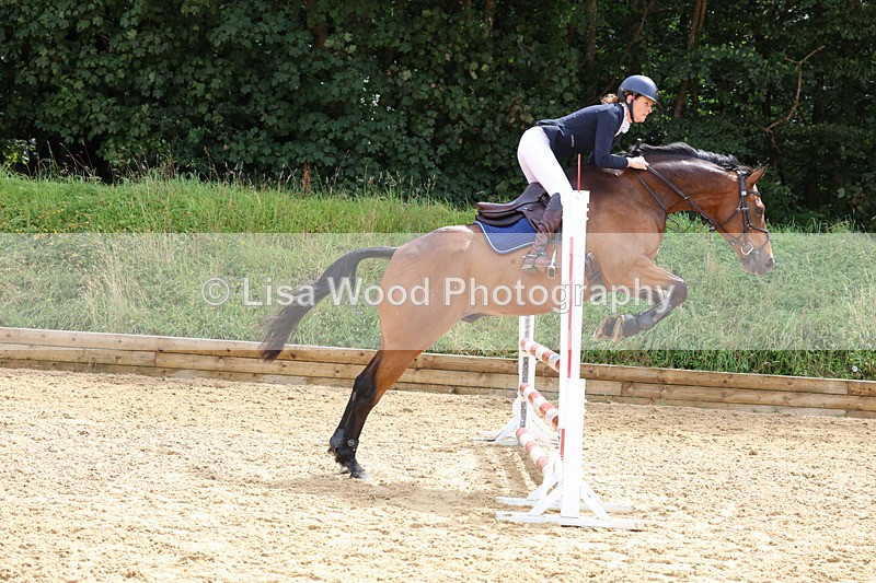 3E7A0082 - Class 9: Senior British Novice/90cm open