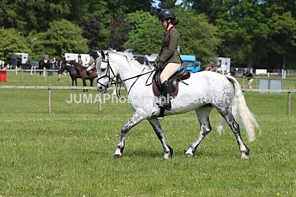IMG_3410 - Working Hunter
