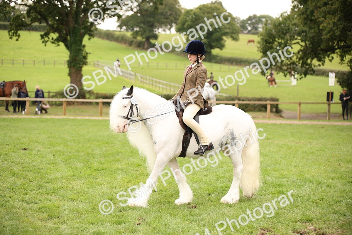 SBM_73481 - S68 - Traditional Cob Ridden