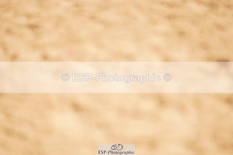 240317A-135404-06875 - Cls 27 Chard Grand Prix