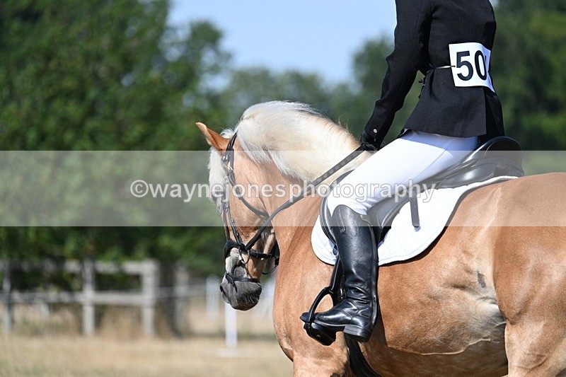 WJ7_0256 - Time 11:33 to 11:44