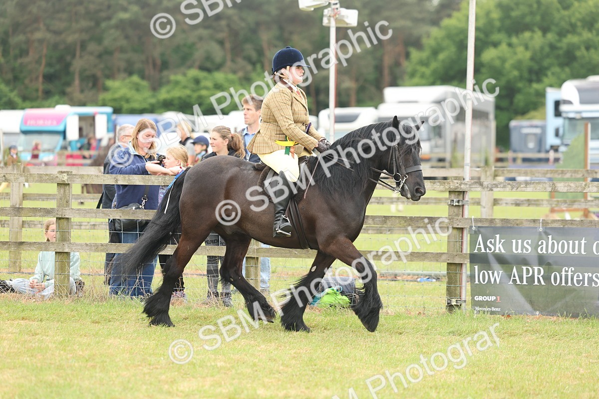SBM_09069 - Class 78-80 - Ridden M&M Non Welsh Ponies
