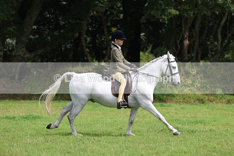 3E7A5862 - Class 26 and 27: 70cm Working Hunter