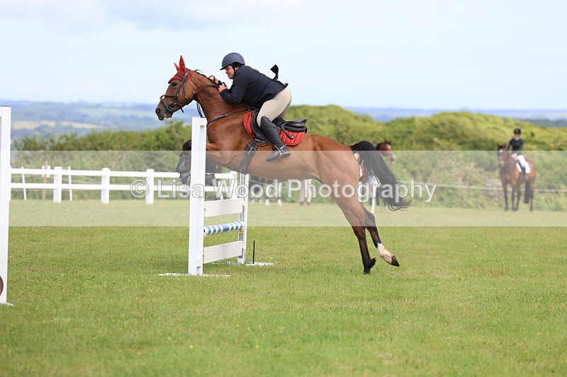 3E7A7494 - Class 13: Senior British Novice/90cm open