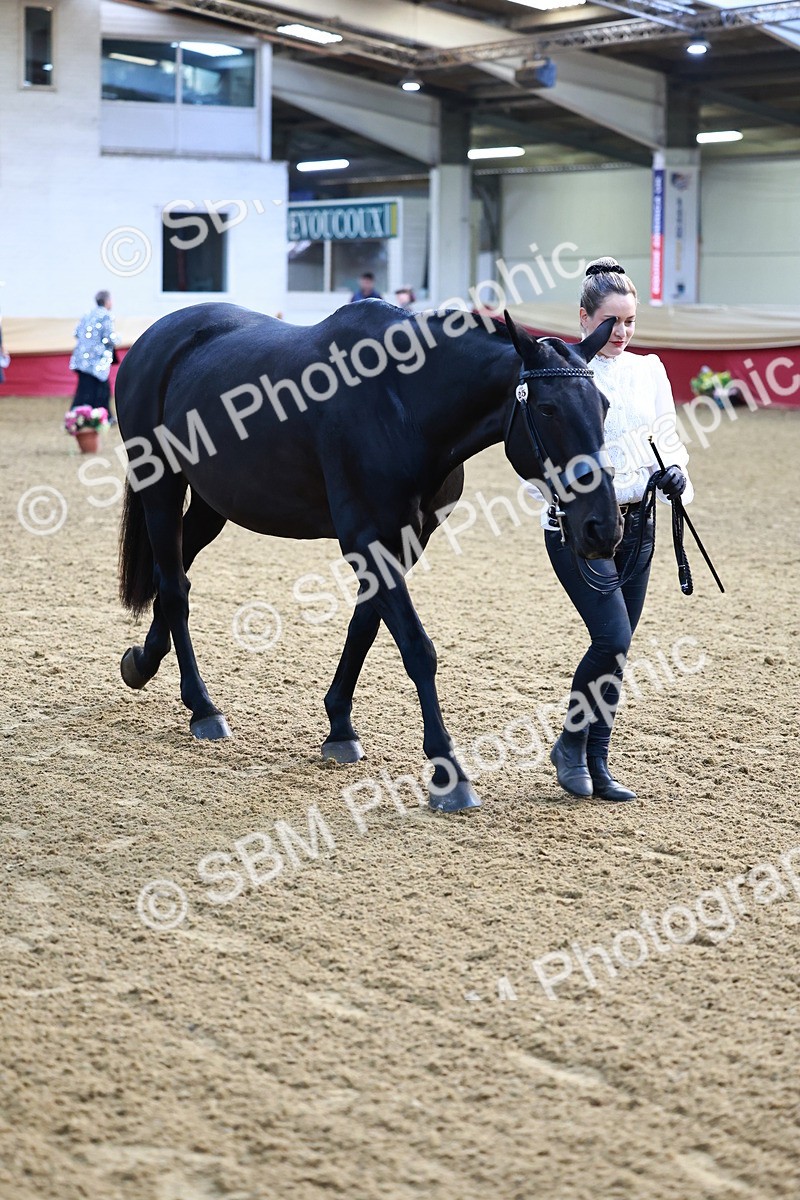 SBM_21678 - Class 901 - Supreme Final - IH  Diamond