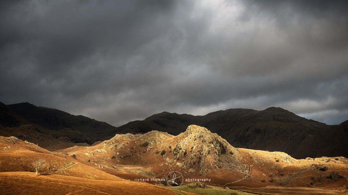 Shining Bell - Wider view
