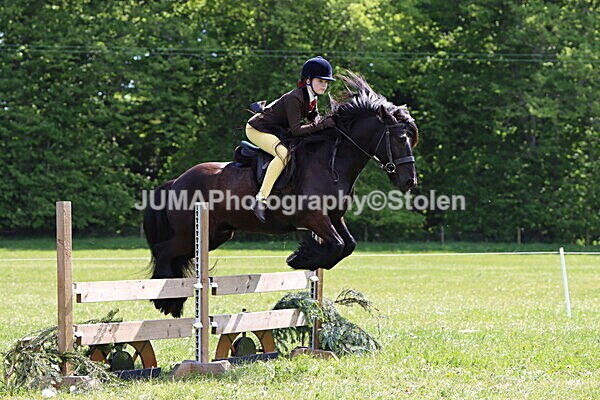 IMG_4319 - Working Hunter