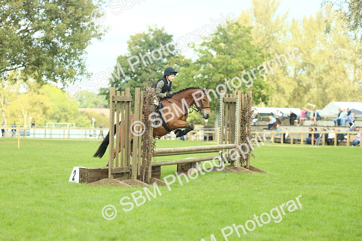 SBM_44605 - S31 - Working Hunter Pony