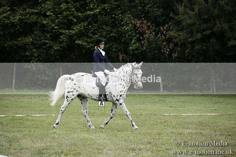 BVR080918 278 - BVRC Novice Dressage & CR 08/09/18