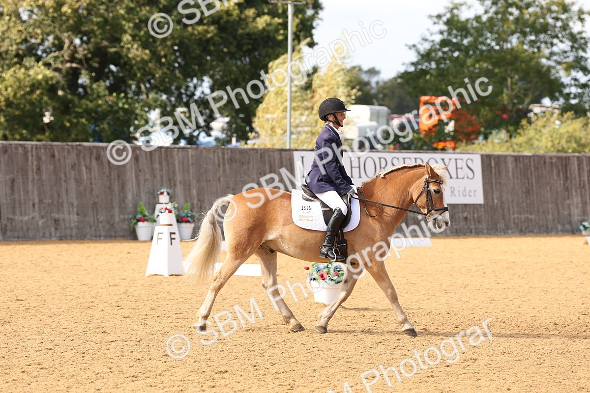 SBM_24624 - D17 - Grand Tour Championship Novice 3