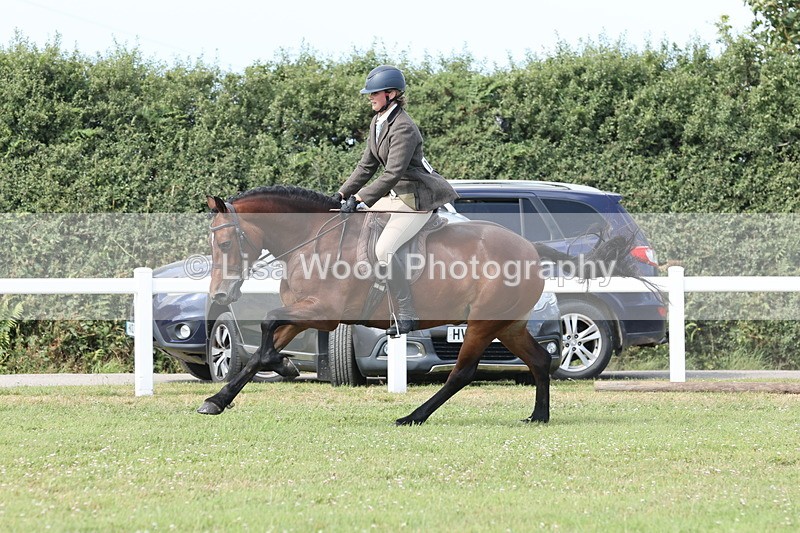 JPP_2418 - Class 19: Working Hunter 60cm