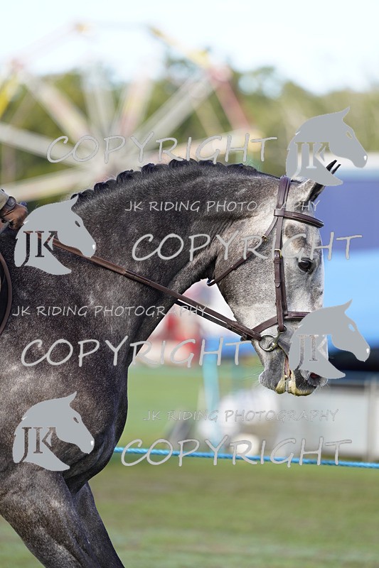 _DSC9355 - Class 8 & 17 Ridden Hunter & Ridden Hunter Pony