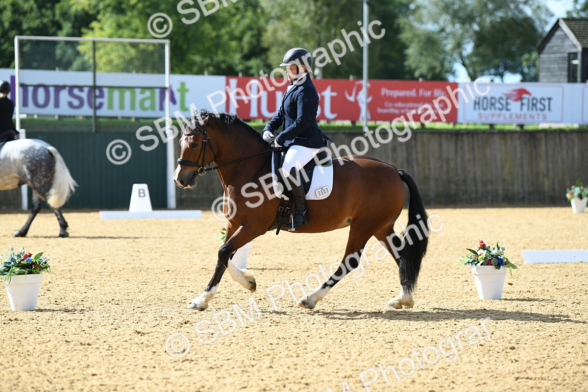 SBM_03169 - D7 Small Tour Championship Prelim 1